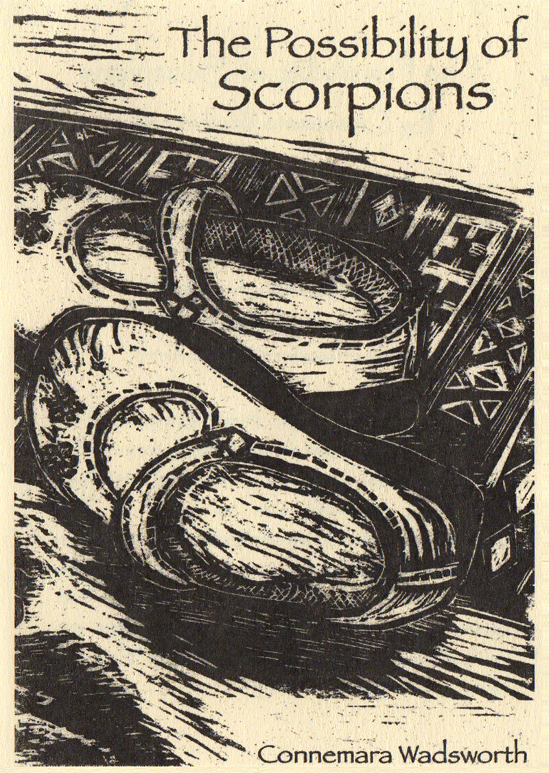 The Possibility of Scorpions cover